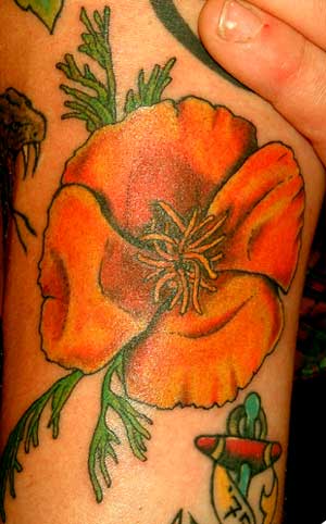tattoos of california. Alex Sherker - California