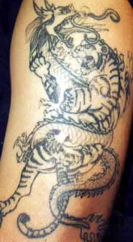 chris garver dragon tattoo baby tiger tattoo semi temporary tattoos