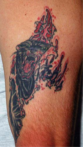Old School Designs Tattoo Galleries: panther skin rip design