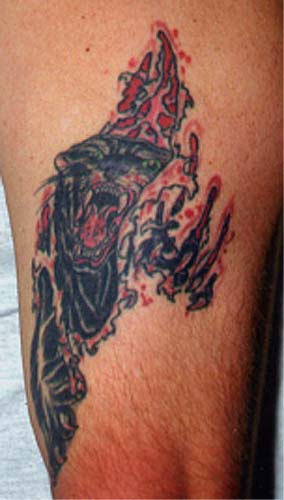 Tattoo Galleries: panther skin rip Tattoo Design