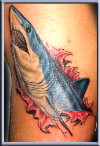 A Great Hammerhead Shark Tattooed On It ! Hammerhead Shark