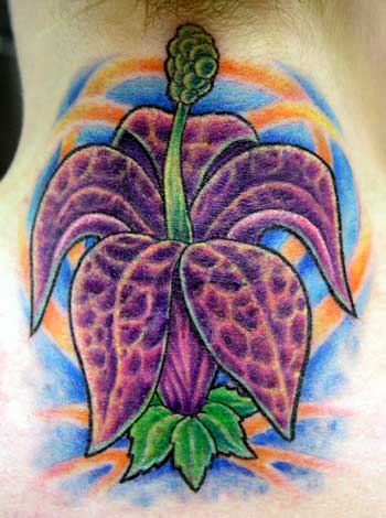 Henna Tattoo Virginia Beach on Tattoo Galleries  Metamorphosis Tattoo Design