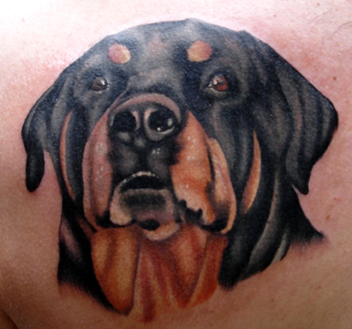 Tattoos. Tattoos Memorial. rottweiler. Now viewing image 20 of 29 previous 