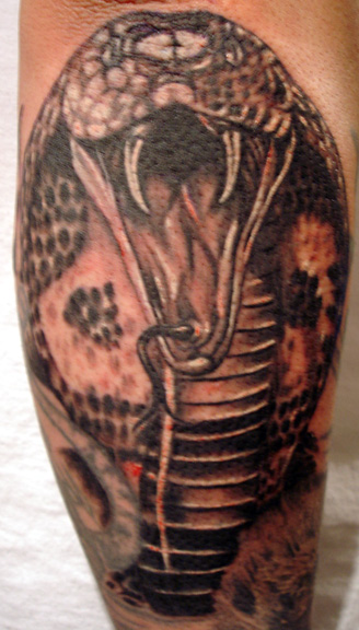 One of the variations of cobra tattoo is an angry cobra protecting some