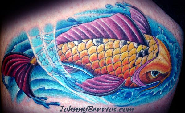 Johnny Berrios Koi Leave Comment Placement Leg