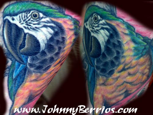 parrot tattoo. Johnny Berrios - parrot