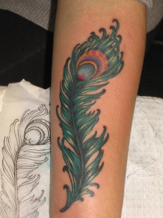 Peacock feather : Tattoos