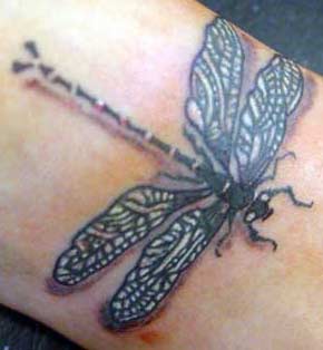 Dragonfly Tattoos - dragonfly tattoo